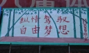 校园运动会板报-纵情驾驭 自由梦想