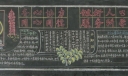 人口普查黑板报图片大全