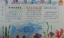神奇的海洋手抄报图片