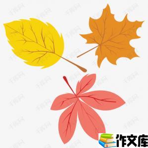 秋天的树叶