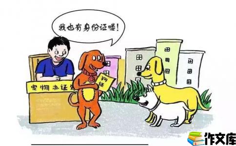 浅谈养狗注意事项