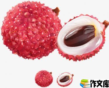 美味的荔枝
