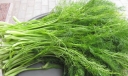 孕妇能吃茴香吗？孕妇吃调味品的注意事项