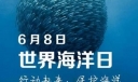 6月8日是什么节日？世界海洋日是几月几日