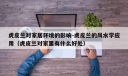 虎皮兰对家居环境的影响-虎皮兰的风水学应用（虎皮兰对家里有什么好处）