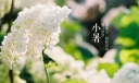 小暑什么意思？小暑怎么预防中暑