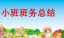 幼儿园小班班级工作总结三篇