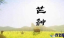 芒种节气的温馨祝福寄语