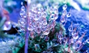 给老师的毕业赠言不舍语录精选100句