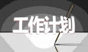 年度少先队工作计划