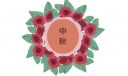 五月十五中秋节活动总结11篇