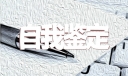 员工转正个人自我鉴定10篇