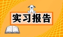 大学生实习周记范文大全