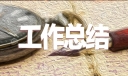 个人学期工作总结20篇