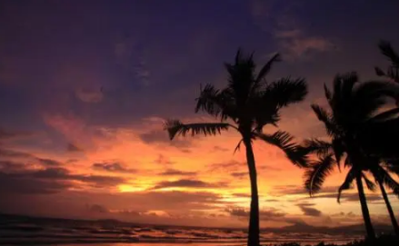 2022年春节还能去三亚不3