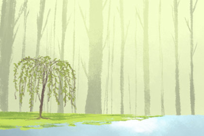 北京文化 北京文化