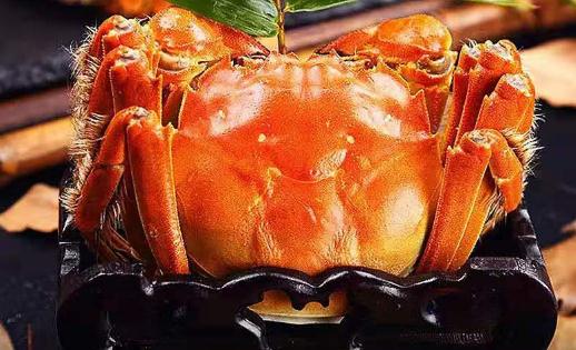 熟螃蟹放冰箱冷冻能放多久 熟螃蟹放冰箱冷藏三天还能吃吗