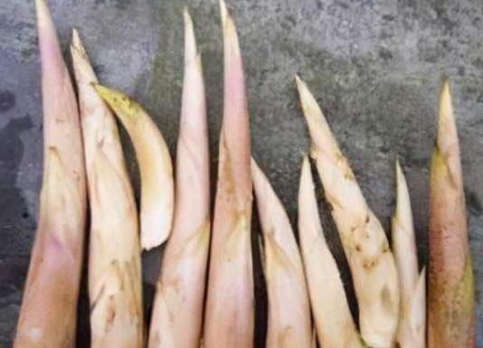 冬笋有毛绒的地方可以吃吗?冬笋切好需要用水泡吗