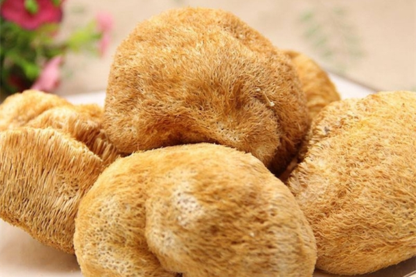 猴头菇可以降血糖吗 猴头菇适合什么人群 猴头菇可以降血糖吗 猴头菇适合什么人群