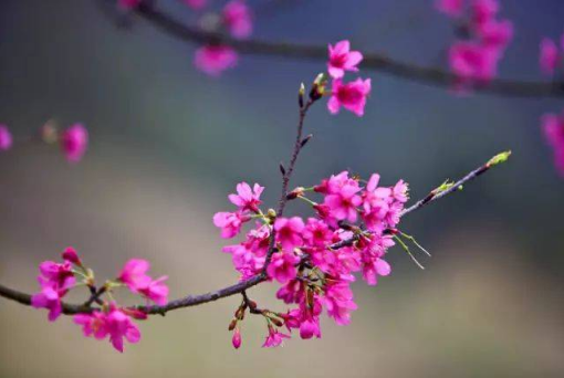 2022年是不是盲年2