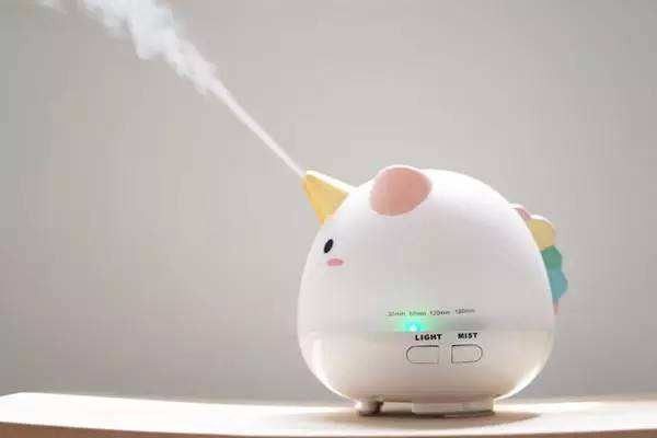 加湿器能净化空气吗 加湿器能不能加热水 加湿器能净化空气吗 加湿器能不能加热水