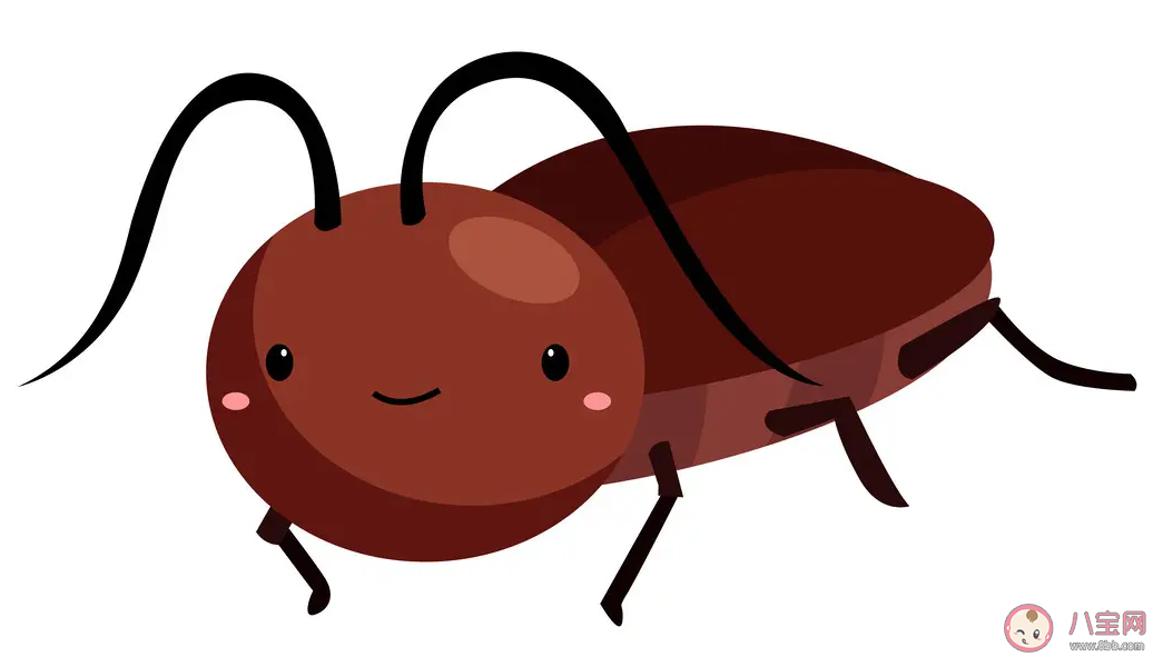 蟑螂怎么消灭 消除蟑螂的办法有哪些