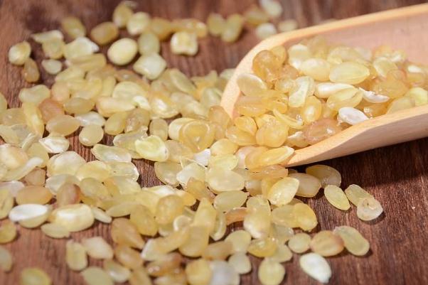 皂角米是发物吗 吃皂角米的禁忌 皂角米是发物吗 吃皂角米的禁忌