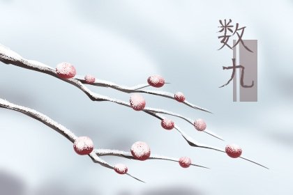 大雪这一天的农作物怎么照顾 南北方的农事差异 大雪这一天的农作物怎么照顾 南北方的农事差异