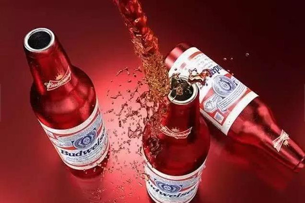 百威啤酒有多少度 百威啤酒会喝醉吗 百威啤酒有多少度 百威啤酒会喝醉吗