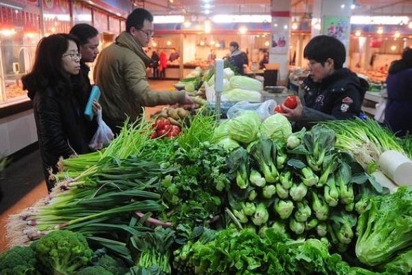 蔬菜是植物类吗 蔬菜是酸性还是碱性食物 蔬菜是植物类吗 蔬菜是酸性还是碱性食物