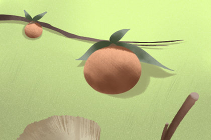 哪些茶需要煮着喝 正确的煮茶方法 哪些茶需要煮着喝 正确的煮茶方法