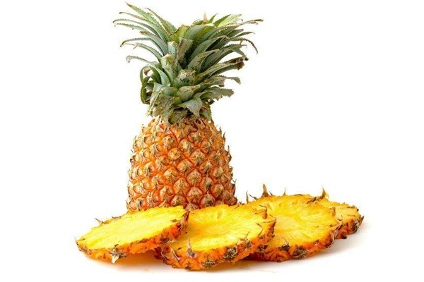 菠萝是寒性的吗 菠萝的产地有哪些地方 菠萝是寒性的吗 菠萝的产地有哪些地方