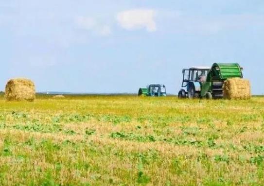 2021年农田补贴在哪个部门去查询?2021年的土地补贴下来了吗