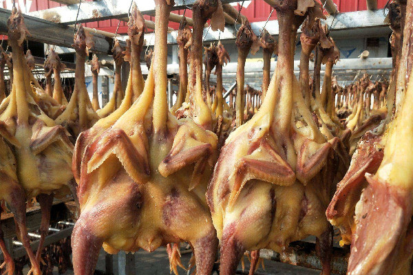 腊鸡用什么鸡做比较好 腊鸡用公鸡还是母鸡 腊鸡用什么鸡做比较好 腊鸡用公鸡还是母鸡