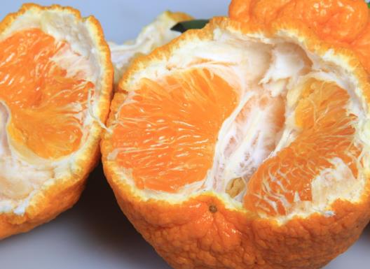 丑橘刚摘下来要放几天才成熟吗?红皮丑橘和黄皮丑橘哪种好吃?