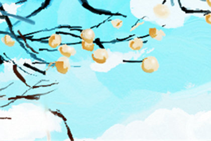 饮食文化 饮食文化