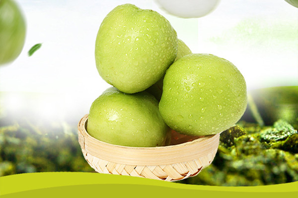 青枣孕妇可以吃吗 青枣孕妇吃了有什么好处 青枣孕妇可以吃吗 青枣孕妇吃了有什么好处