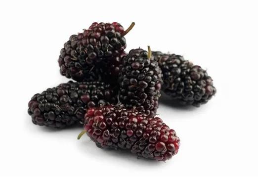 桑葚干可以泡几次水喝?桑葚干泡水水非常黑对吗