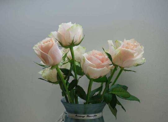 醒花能用桶装水吗?醒花的水可以直接当做插花水吗