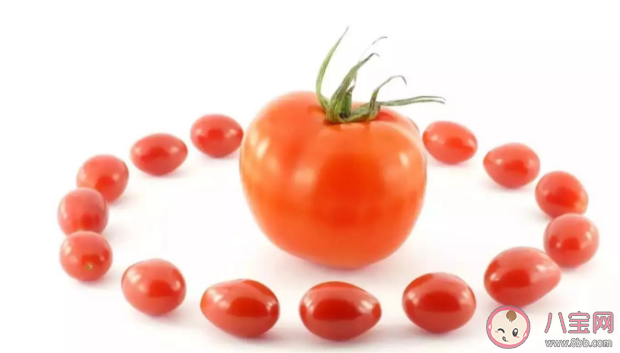 大小番茄哪个热量更高 小番茄大番茄哪个更有营养 大小番茄哪个热量更高 小番茄大番茄哪个更有营养