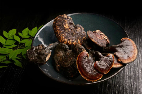 灵芝煮水要煮多久 灵芝不能和什么一起吃