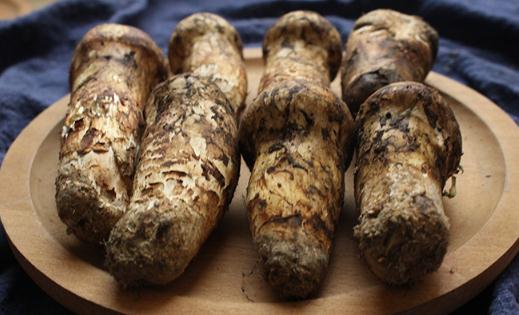 松茸表面的黑色需要刮掉吗 松茸不能洗吗