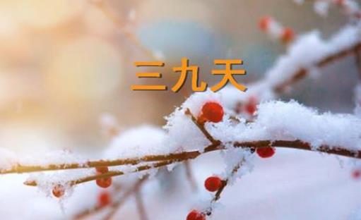 2022年三九天从什么时候开始 三九天喝什么汤好