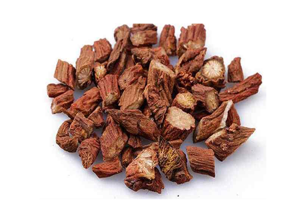 丹参是不是寒性的 丹参是不是人参 丹参是不是寒性的 丹参是不是人参