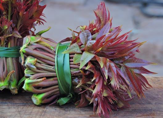 香椿晒干后怎么吃?香椿怎么做好吃