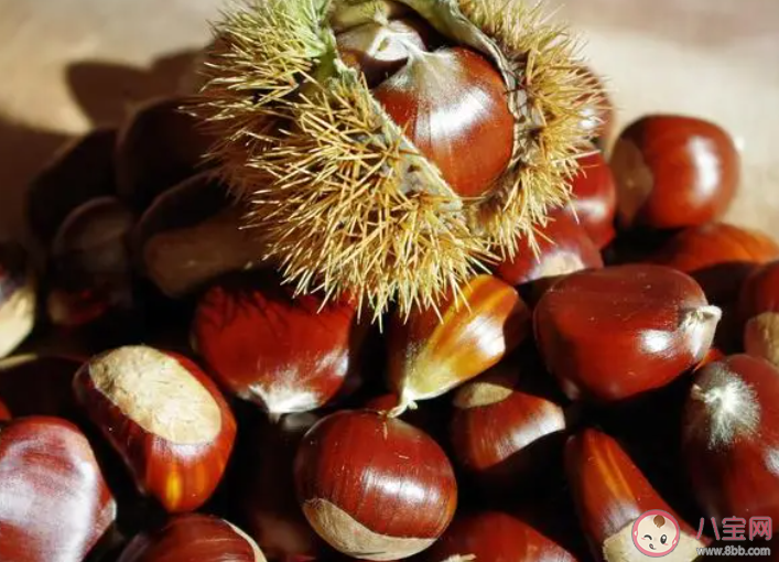 女人多吃板栗会发胖吗 板栗一天最多吃几个 女人多吃板栗会发胖吗 板栗一天最多吃几个