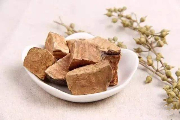 何首乌能泡水喝不 何首乌泡水喝有什么作用 何首乌能泡水喝不 何首乌泡水喝有什么作用