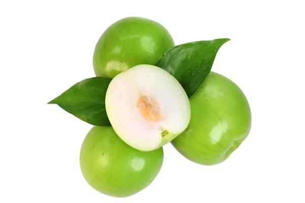 牛奶枣的功效与作用 牛奶枣是凉性还是热性 牛奶枣的功效与作用 牛奶枣是凉性还是热性