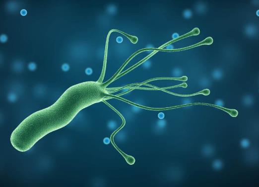 感染幽门螺杆菌有什么症状?幽门螺旋杆菌阴性正常吗