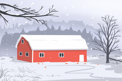 冬至饮食 吃什么水果好 冬至饮食 吃什么水果好